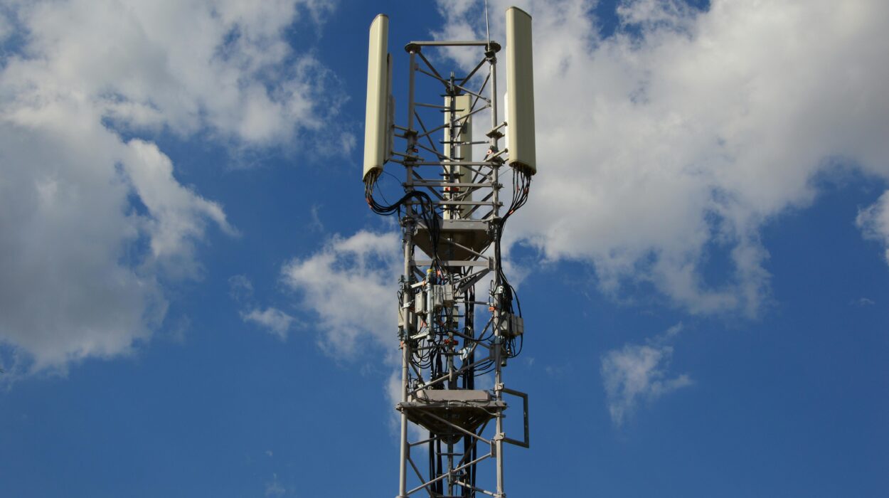 Engineer reviewing telecom infrastructure before network deployment